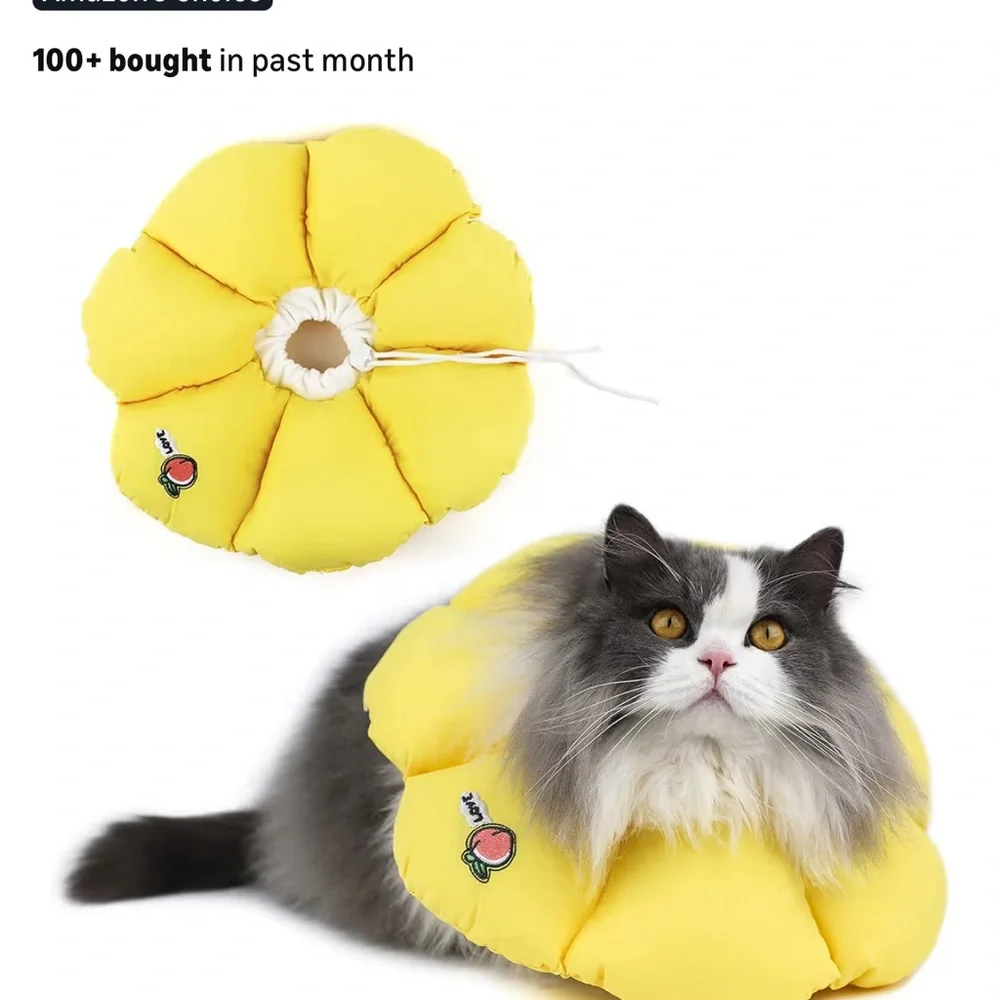 Yellow Cat Collar with Peach Embroidery